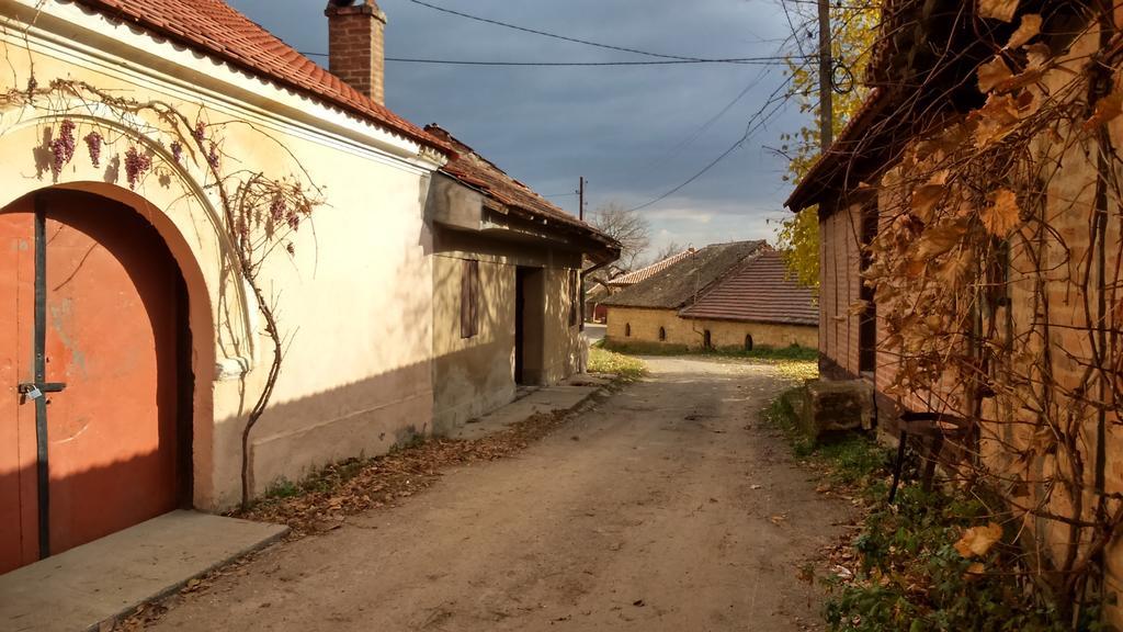 Country House Dunjin Konak Rogljevo Экстерьер фото