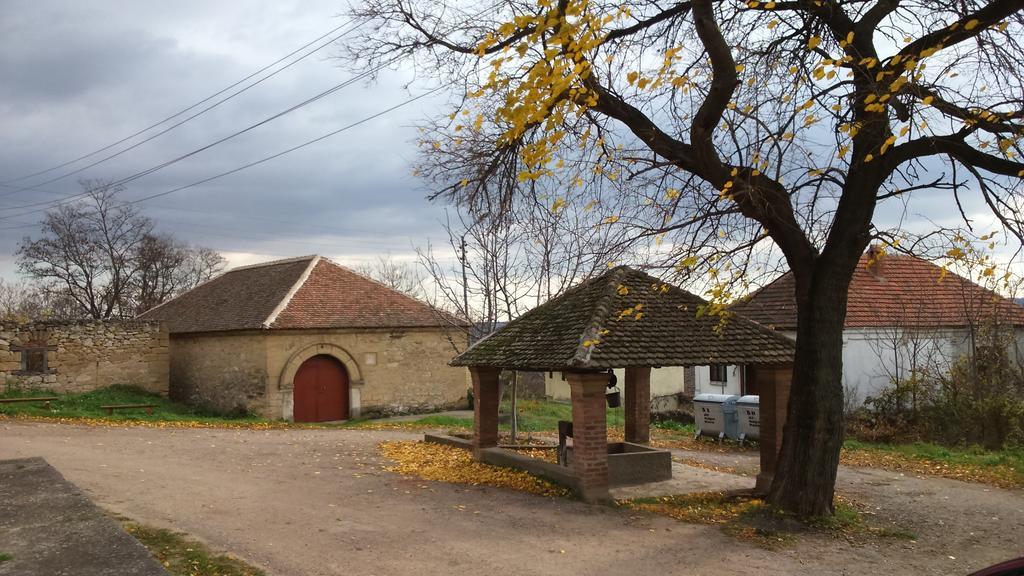 Country House Dunjin Konak Rogljevo Экстерьер фото