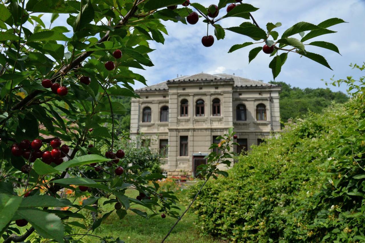 Country House Dunjin Konak Rogljevo Экстерьер фото