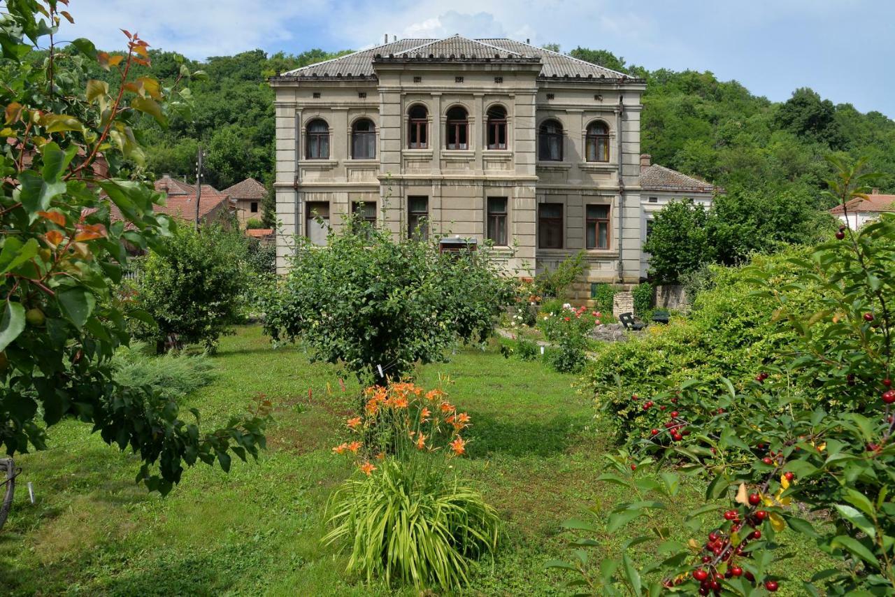 Country House Dunjin Konak Rogljevo Экстерьер фото