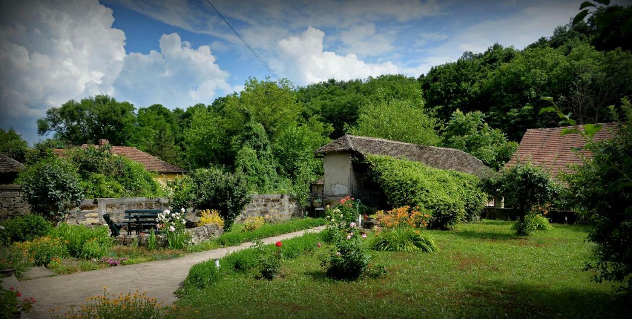 Country House Dunjin Konak Rogljevo Экстерьер фото