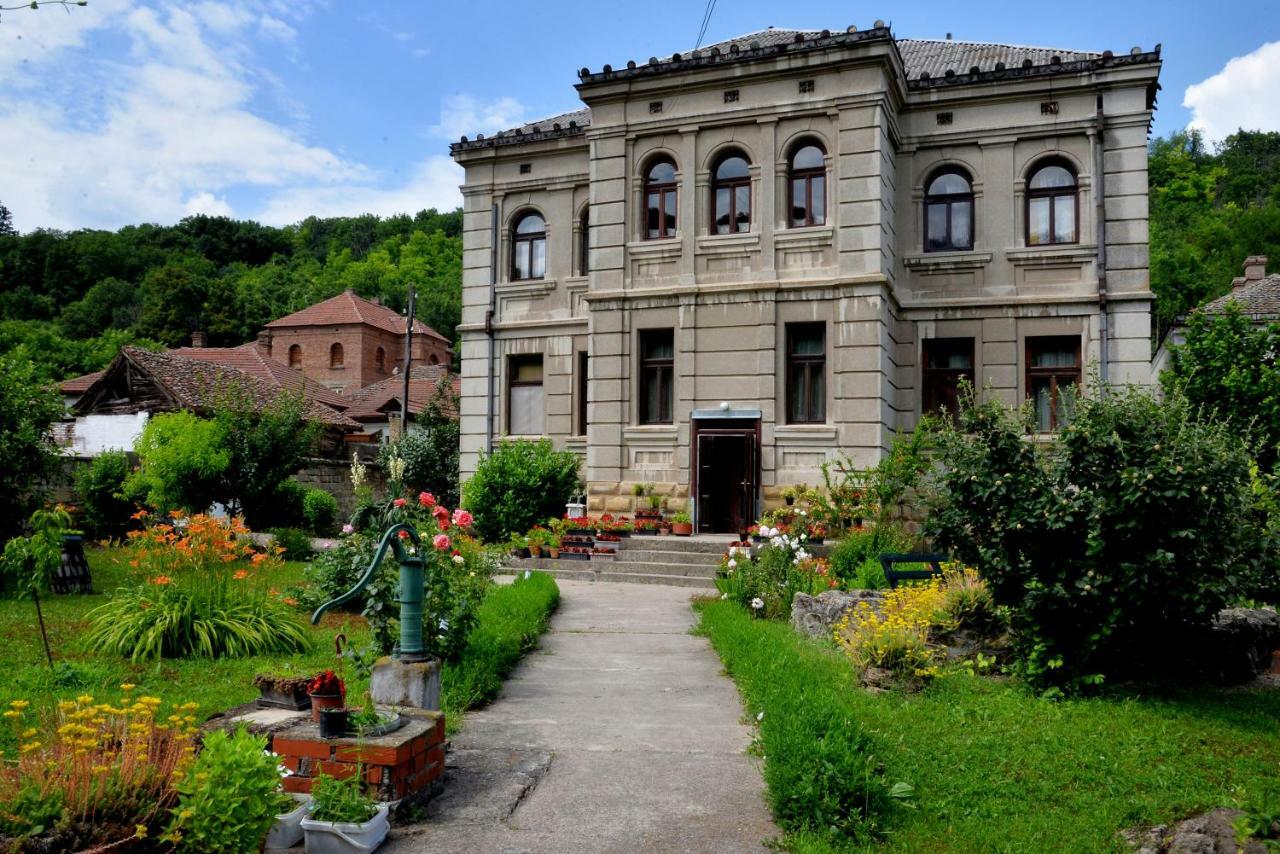 Country House Dunjin Konak Rogljevo Экстерьер фото