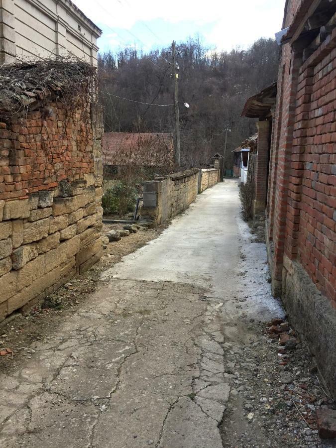 Country House Dunjin Konak Rogljevo Экстерьер фото